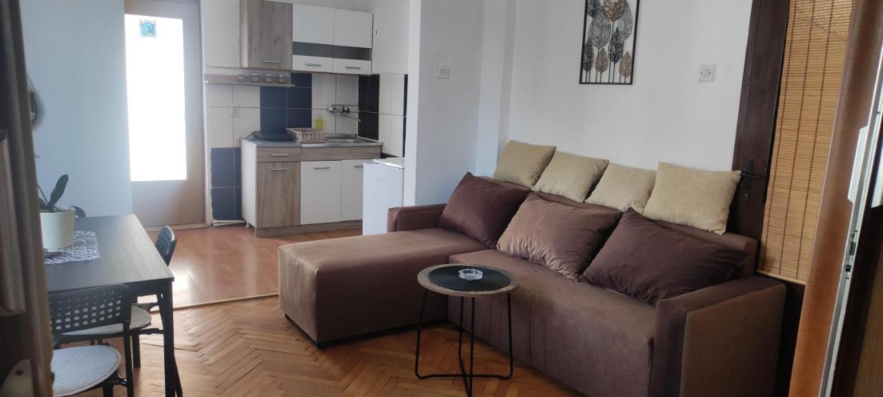 Apartment Mina ソコバニャ エクステリア 写真